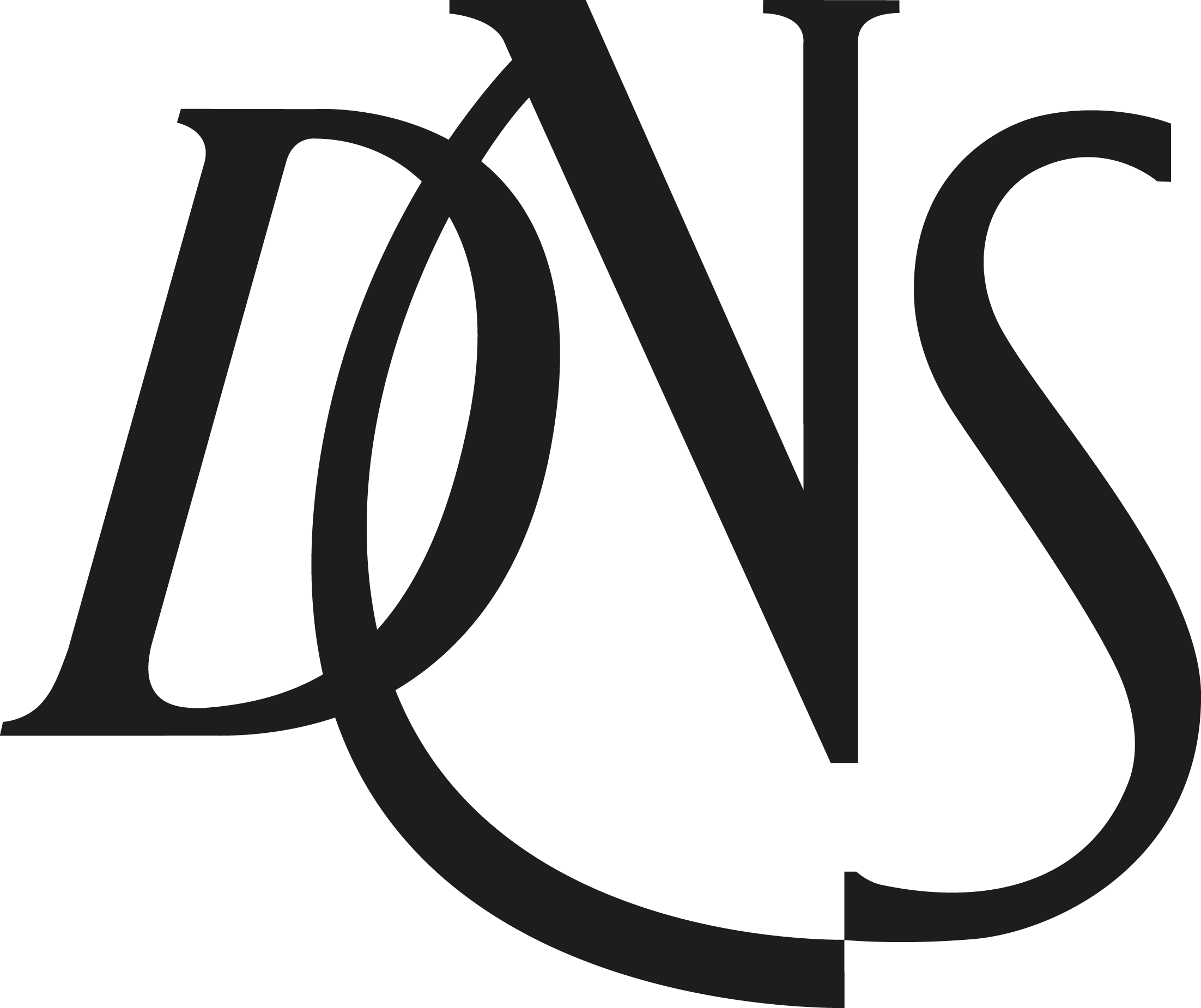 DNS logo komprimert svart